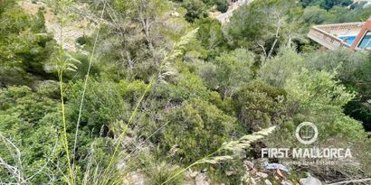 Inmobiliaria picture 4 Ref. Nº. 81335