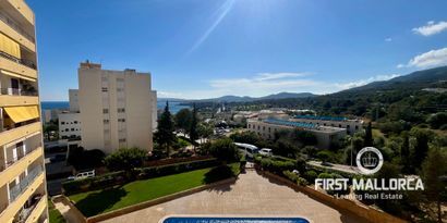 Real Estates picture 0 Ref. Nr. 81436