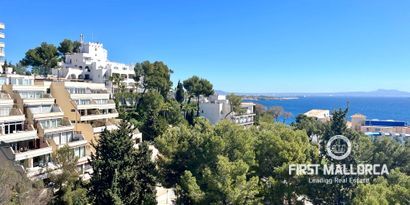 Real Estates picture 0 Ref. Nr. 81418