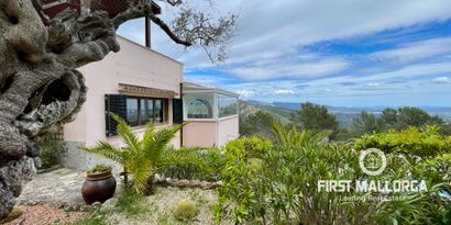 Real Estates picture 0 Ref. Nr. 80778