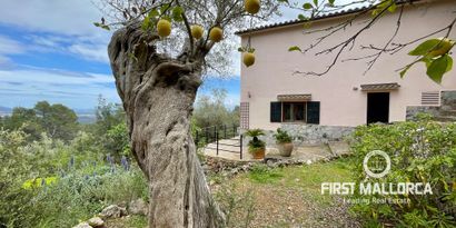 Real Estates picture 21 Ref. Nr. 80778