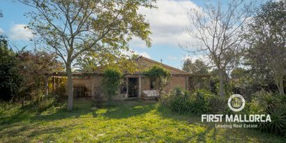 Real Estates picture 16 Ref. 81433