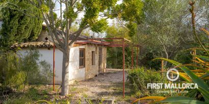 Real Estates picture 17 Ref. 81433