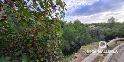 Immobilien picture 5 Ref. Nr. 81302