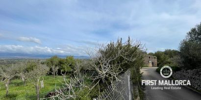 Inmobiliaria picture 12 Ref. Nº. 80821