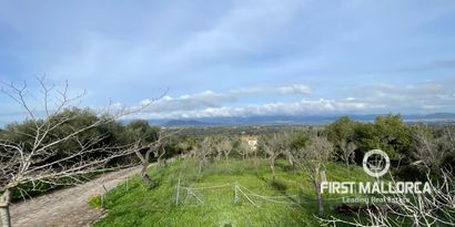 Inmobiliaria picture 14 Ref. Nº. 80821