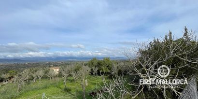Inmobiliaria picture 13 Ref. Nº. 80821