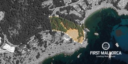 Inmobiliaria picture 3 Ref. Nº. 81560