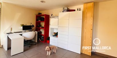 Inmobiliaria picture 14 Ref. Nº. 81424