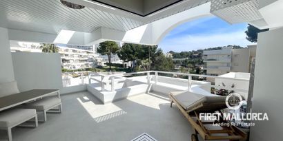 Real Estates picture 0 Ref. 81565