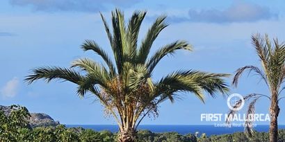 Real Estates picture 11 Ref. R27270