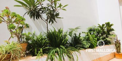 Real Estates picture 4 Ref. 81549