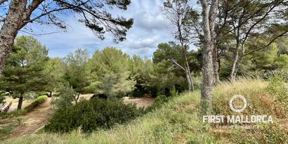 Inmobiliaria picture 12 Ref. Nº. 79401