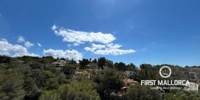 Inmobiliaria picture 18 Ref. Nº. 81064