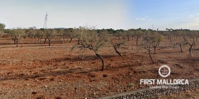 Недвижимость picture 1 Ref 81592