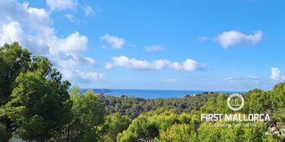 Real Estates picture 1 Ref. Nr. R20694