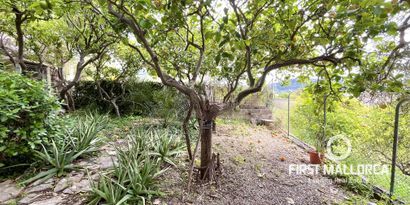 Real Estates picture 23 Ref. Nr. R27595