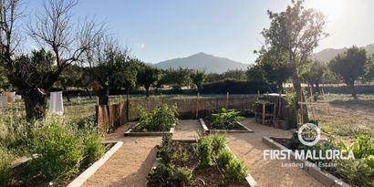 Real Estates picture 24 Ref. R27545