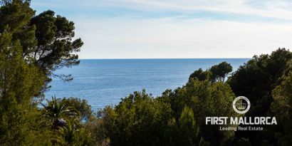 Real Estates picture 22 Ref. 80978