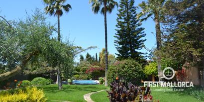 Real Estates picture 2 Ref. Nr. 81653