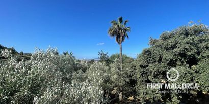 Real Estates picture 25 Ref. Nr. 77560