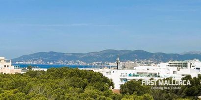 Real Estates picture 18 Ref. Nr. 81295