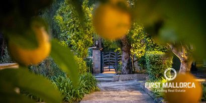 Real Estates picture 33 Ref. Nr. 74571