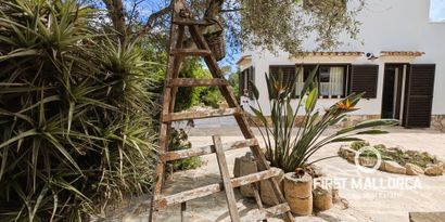 Immobilien picture 0 Ref. Nr. 81115