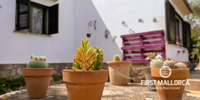 Immobilien picture 3 Ref. Nr. 81115