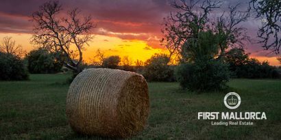 Inmobiliaria picture 13 Ref. Nº. 81427