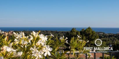 Real Estates picture 26 Ref. 81602