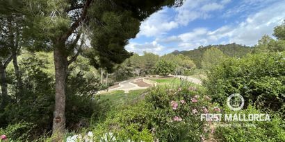 Immobilien picture 26 Ref. Nr. 81706