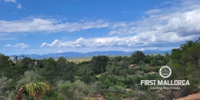 Real Estates picture 6 Ref. 81682