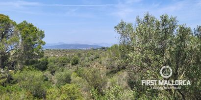 Real Estates picture 7 Ref. 81682