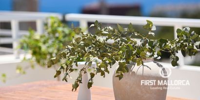 Real Estates picture 27 Ref. 80501