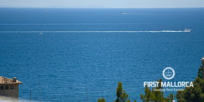 Real Estates picture 5 Ref. 80501