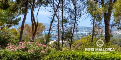 Inmobiliaria picture 21 Ref. Nº. 81700