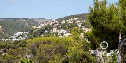 Inmobiliaria picture 22 Ref. Nº. 81700