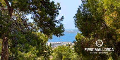 Inmobiliaria picture 1 Ref. Nº. 81700