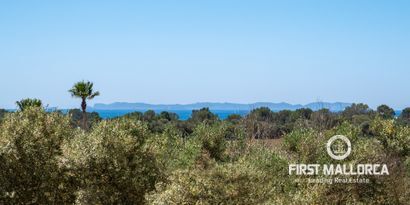 Real Estates picture 29 Ref. 77620