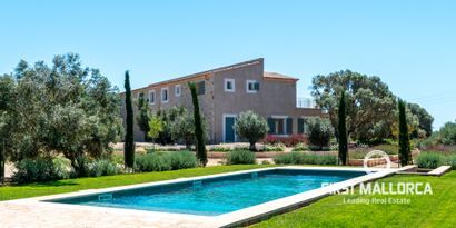 Real Estates picture 0 Ref. 77620