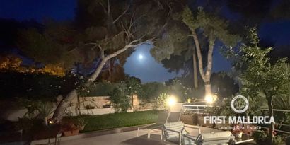 Inmobiliaria picture 20 Ref. Nº. 81700