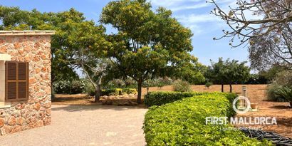 Недвижимость picture 6 Ref R21008