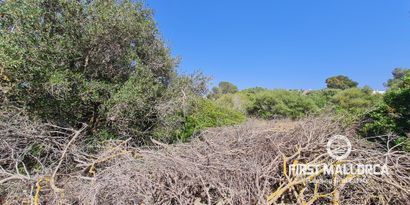 Immobilien picture 0 Ref. Nr. 81764
