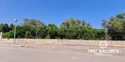 Immobilien picture 4 Ref. Nr. 81764