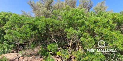 Immobilien picture 5 Ref. Nr. 81764
