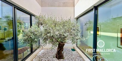 Inmobiliaria picture 2 Ref. Nº. 81762