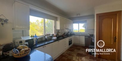 Inmobiliaria picture 23 Ref. Nº. 81677