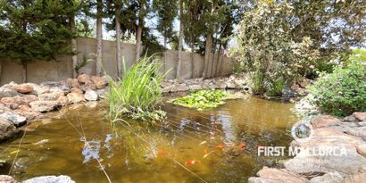 Real Estates picture 29 Ref. Nr. 81769