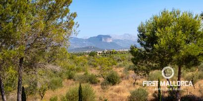 Inmobiliaria picture 32 Ref. Nº. 74667